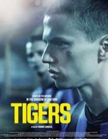 Тигры (2020)